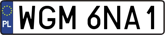 WGM6NA1