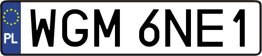 WGM6NE1