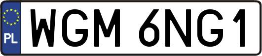 WGM6NG1