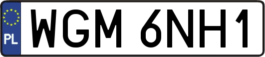 WGM6NH1