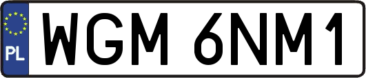 WGM6NM1
