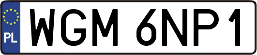 WGM6NP1