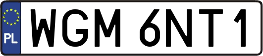 WGM6NT1