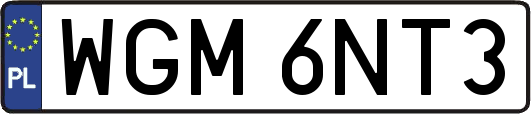 WGM6NT3