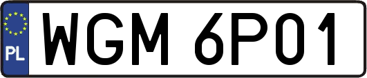 WGM6P01
