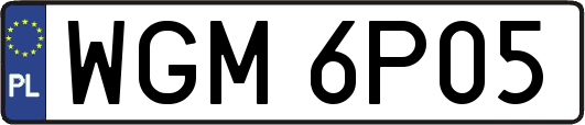 WGM6P05