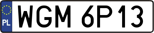 WGM6P13