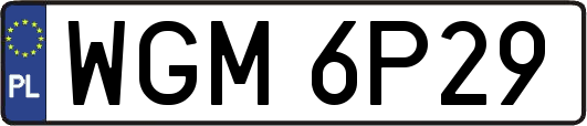 WGM6P29