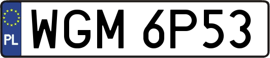 WGM6P53