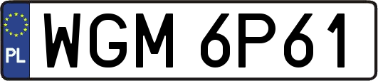 WGM6P61