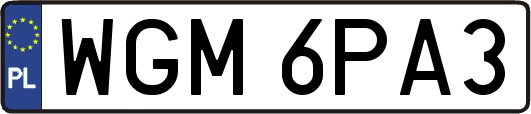 WGM6PA3