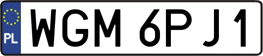 WGM6PJ1