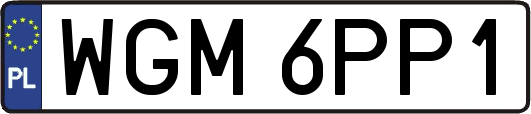 WGM6PP1