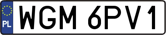 WGM6PV1