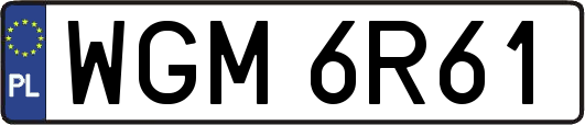 WGM6R61