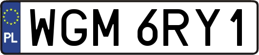WGM6RY1