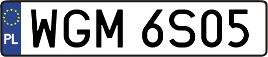 WGM6S05