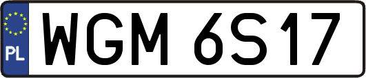 WGM6S17