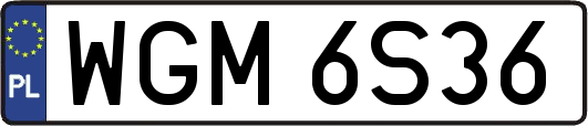WGM6S36