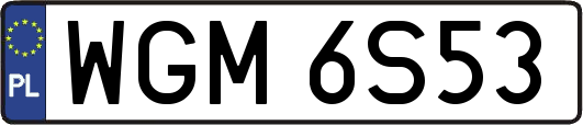 WGM6S53
