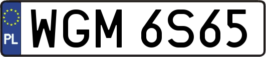 WGM6S65