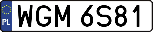 WGM6S81