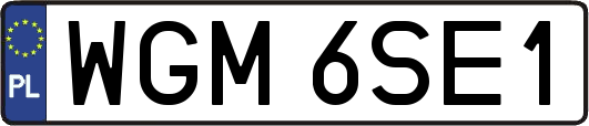 WGM6SE1