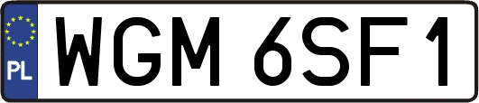 WGM6SF1