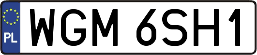 WGM6SH1