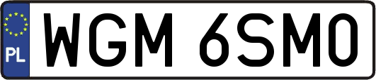 WGM6SM0