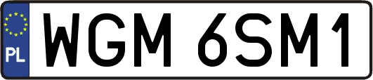 WGM6SM1