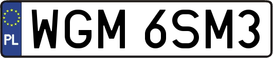 WGM6SM3