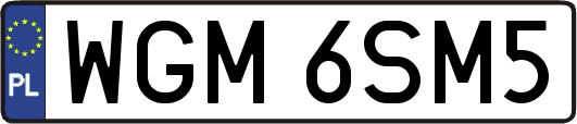WGM6SM5