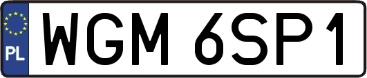 WGM6SP1