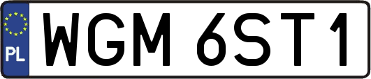 WGM6ST1