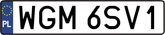 WGM6SV1