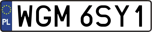 WGM6SY1
