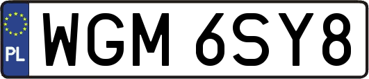 WGM6SY8