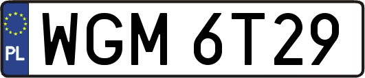 WGM6T29