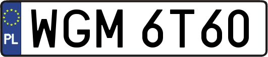 WGM6T60