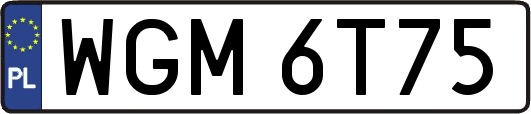 WGM6T75