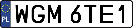 WGM6TE1