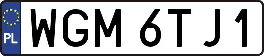 WGM6TJ1