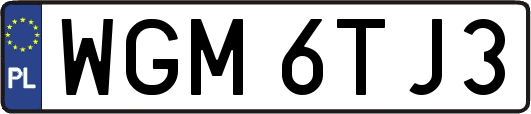 WGM6TJ3