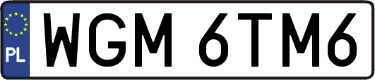 WGM6TM6