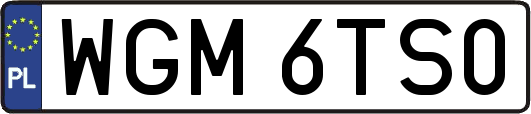 WGM6TS0