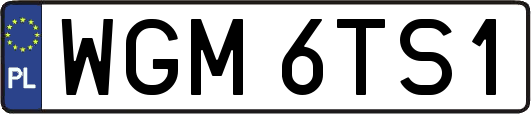 WGM6TS1