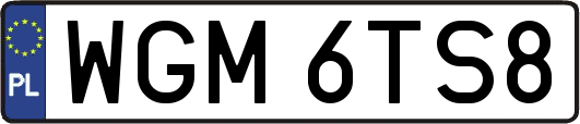 WGM6TS8