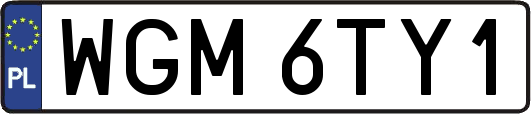 WGM6TY1