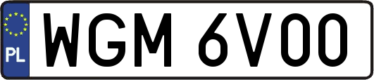 WGM6V00